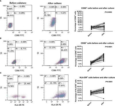 Impact of cytotoxic T lymphocytes immunotherapy on prognosis of colorectal cancer patients